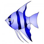 Angel Fish Clip Art