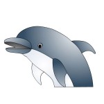 Dolphin Clip Art