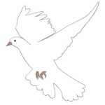 Dove Clip Art