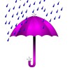 Umbrella Purple Rain
