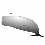 Whale Clip Art