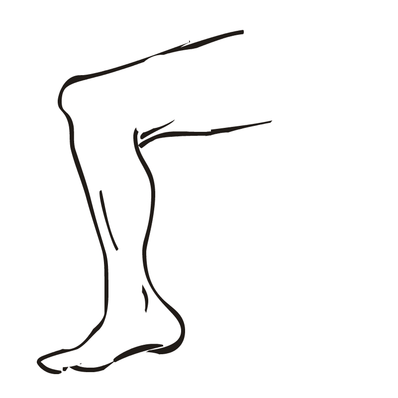 clipart of a leg - photo #16