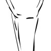 Tooth Incisor