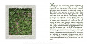 Seasons A House of Order Page 1 Seasons A House of Order Page 1