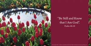Seasons A House of Order Page 33 Be Still and Know That I Am God Seasons A House of Order Page 33 Be Still and Know That I Am God