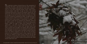 Seasons A House of Order Page 34 Hoarding Seasons A House of Order Page 34 Hoarding