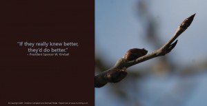 Seasons A House of Order Page 41 Do Better Seasons A House of Order Page 41 Do Better
