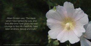 Seasons A House of Order Page 44 Kindness Beauty Truth Seasons A House of Order Page 44 Kindness Beauty Truth