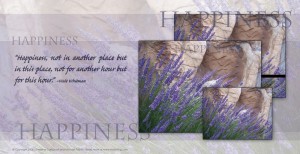 Seasons A House of Order Page 8 Happiness Seasons A House of Order Page 8 Happiness