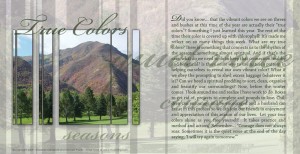 Seasons A House of Order Page 9 True Colors Seasons A House of Order Page 9 True Colors
